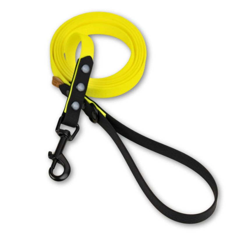 Smycz miejska dla większego psa - Cytrynowy