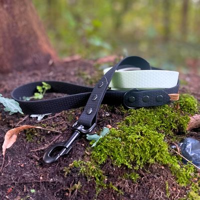 Linka dla małego lub średniego psa - Miętowy