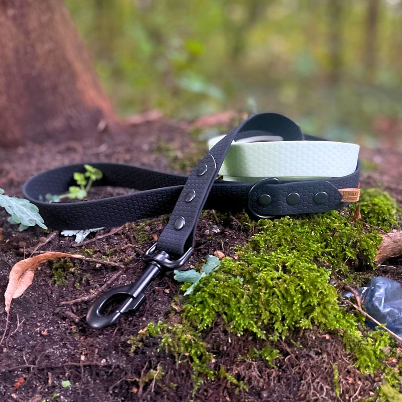 Linka dla większego psa - Miętowy