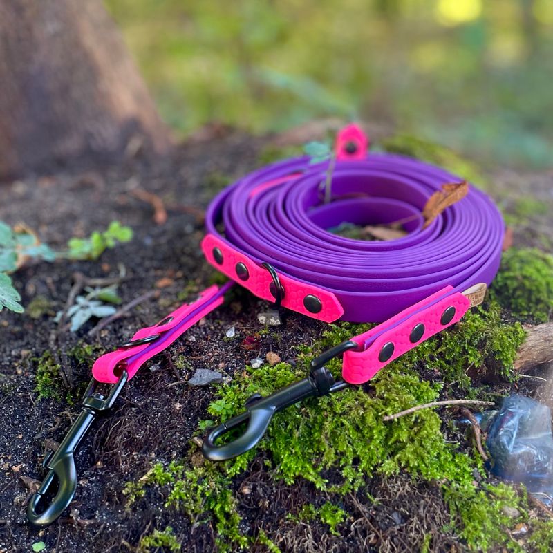 Stwórz własną smycz przepinaną dla małego lub średniego psa