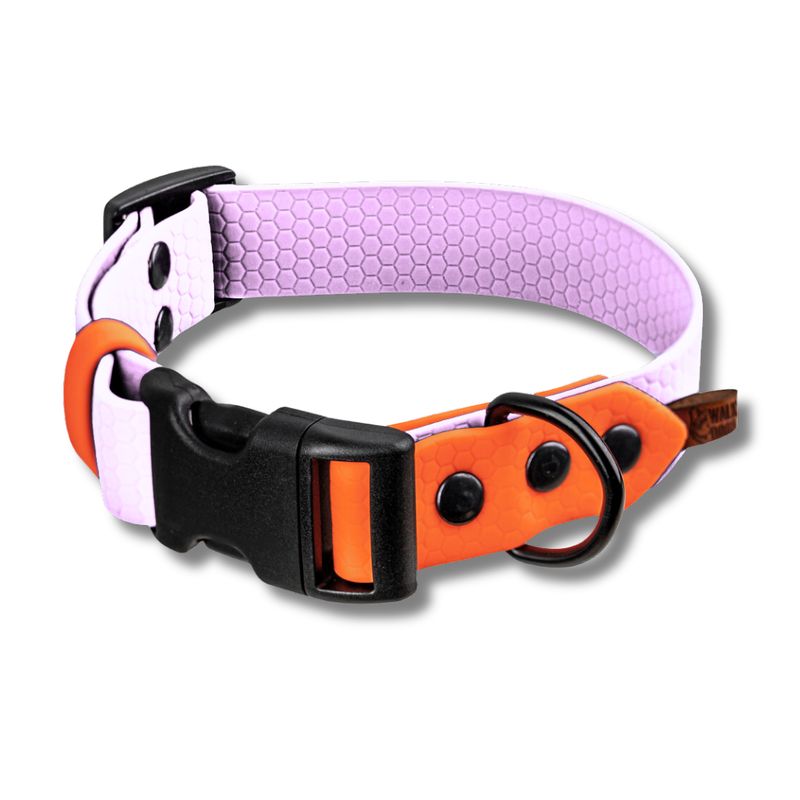 Obroża zatrzaskowa dla psa - Pudrowy