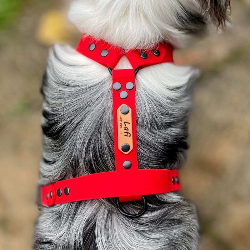 Szelki guard dla mikro psiaka - Czerwone