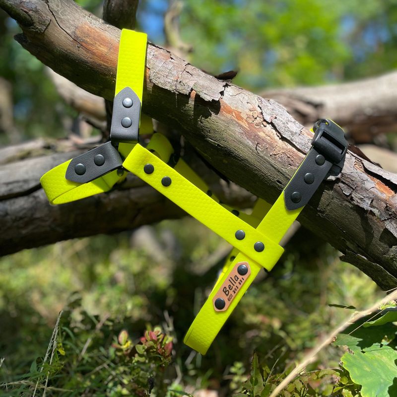 Szelki guard dla małego lub średniego psa - Cytrynowe