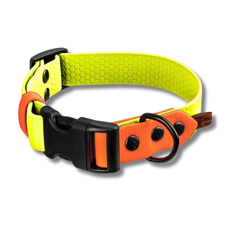 Obroża zatrzaskowa dla psa - Cytrynowy