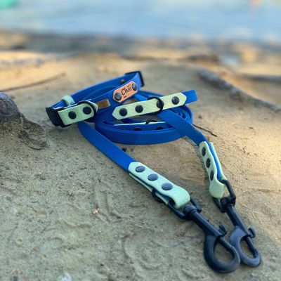 Smycz przepinana dla małego lub średniego psa - Szafirowy