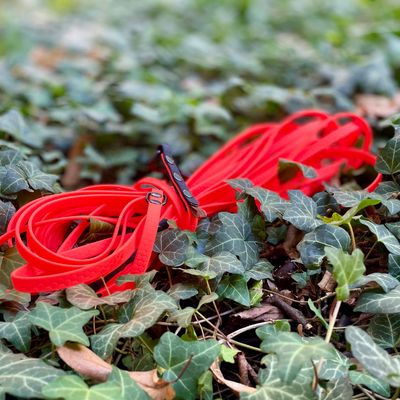 Linka dla małego lub średniego psa - Pomarańczowy