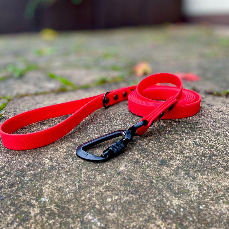 Smycz miejska dla większego psa - Czerwony