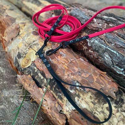 Linka dla małego lub średniego psa - Czerwony