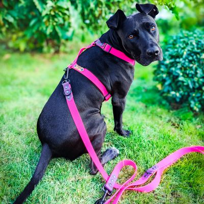 Szelki guard dla dużego psa - Różowe