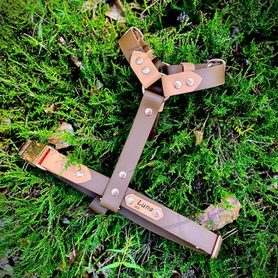 Szelki guard dla dużego psa - Czekoladowe