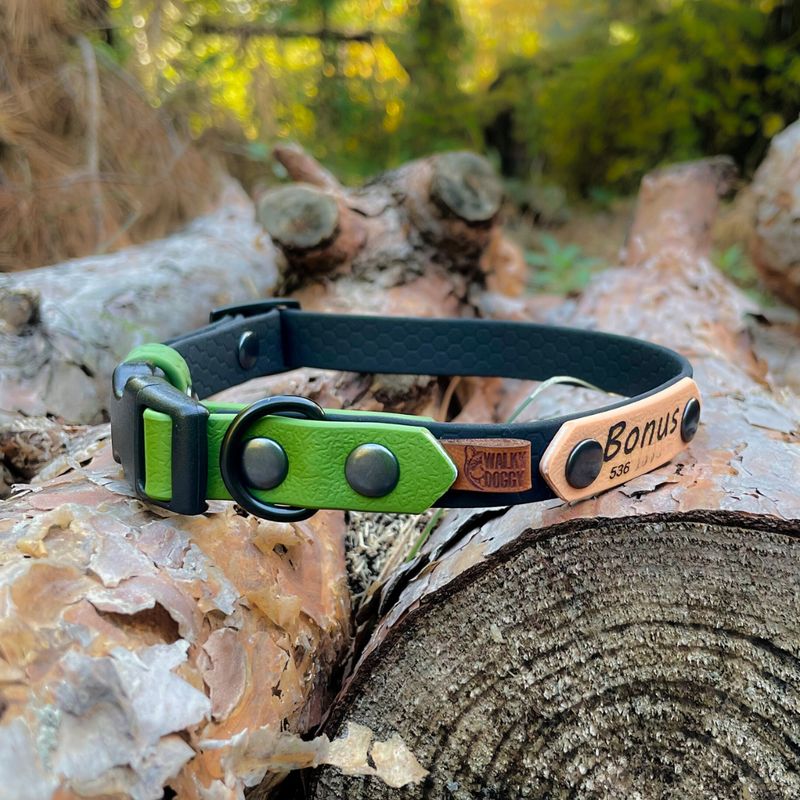 Obroża zatrzaskowa dla psa - Czarny