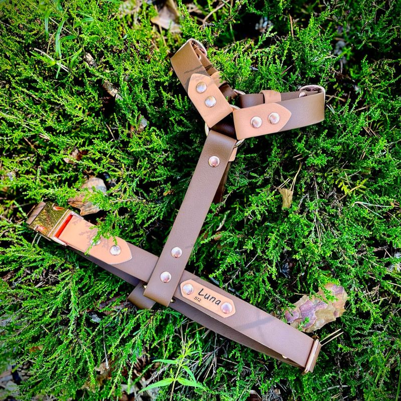 Szelki guard dla dużego psa - Czekoladowe