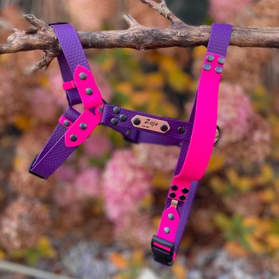 Szelki guard dla dużego psa - Fioletowe