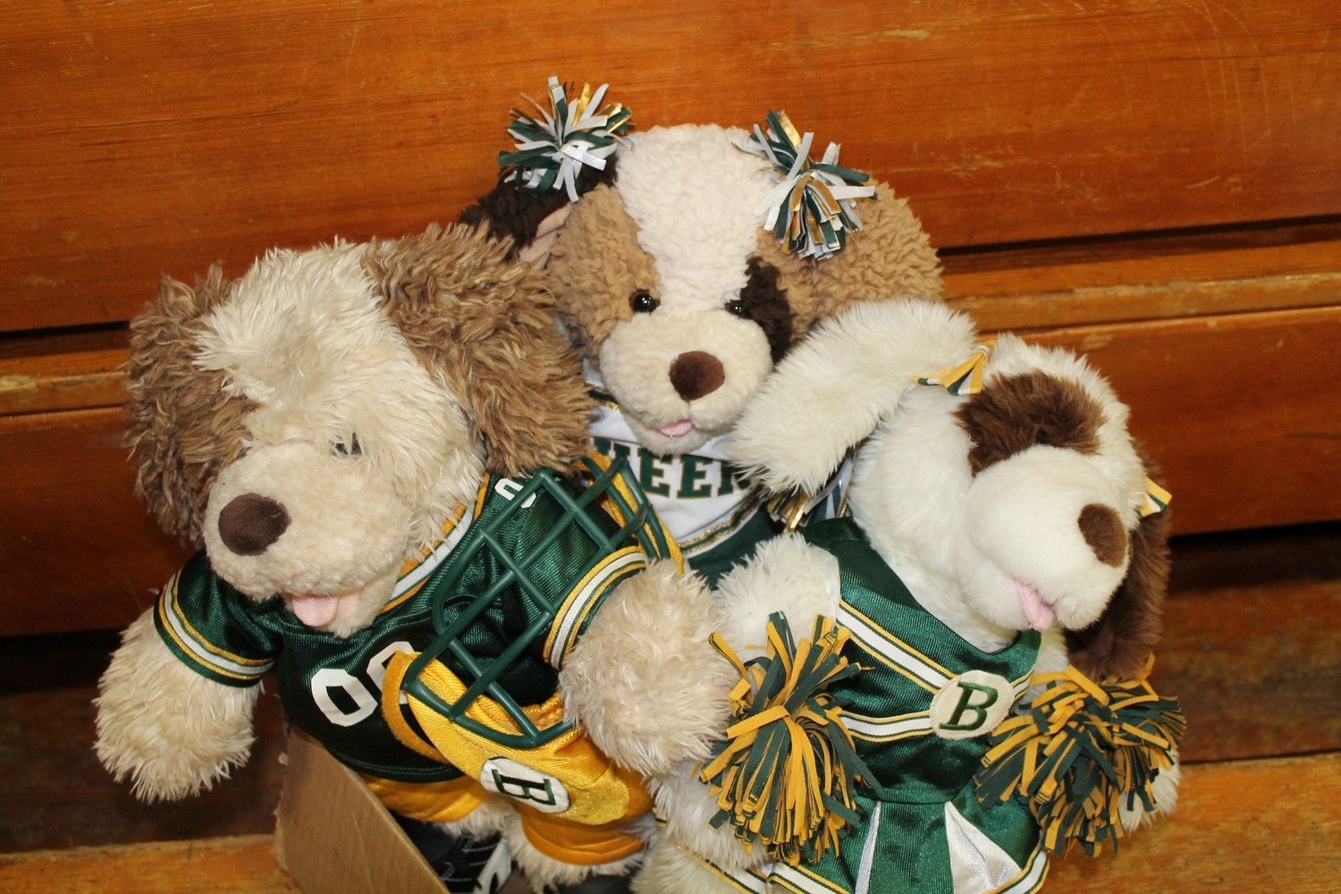 Cheer Registration - 3 players