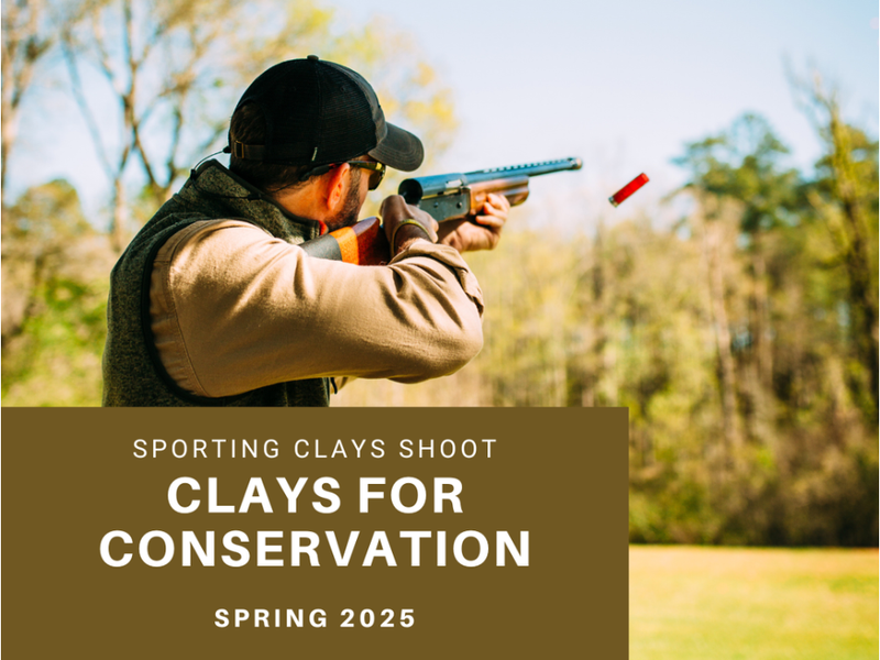 Clays for Conservation 2025