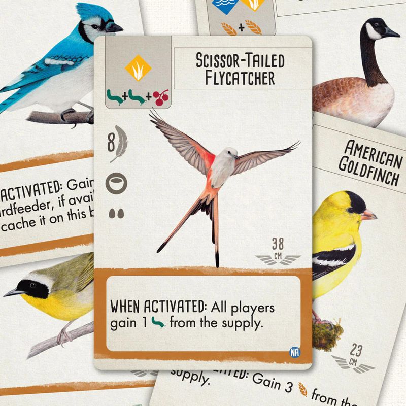 Wingspan: Vision-Friendly Cards: Core Game