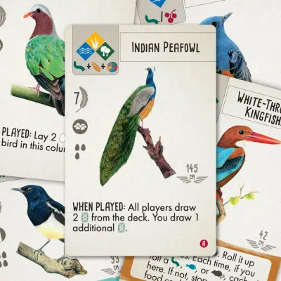 Wingspan: Vision-Friendly Cards: Asia Expansion Wingspan: Vision-Friendly Cards: Asia Expansion