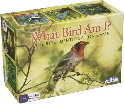 What Bird am I? What Bird am I?