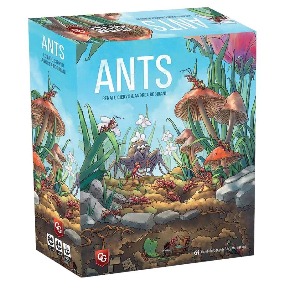 Ants Ants