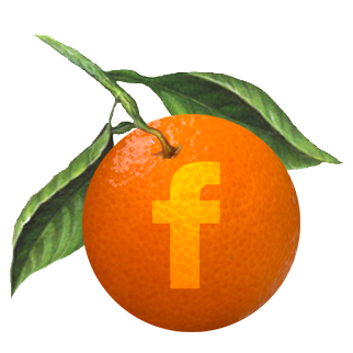 Facebook Ad Targeting