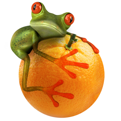 Web-Hosting Quarterly