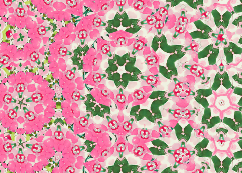 Fashion Patterns