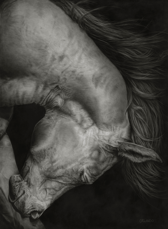 Take a Bow | Trading-Card-Sized Horse Charcoal Drawing Art Print by Crystal Orlando | Minicuration