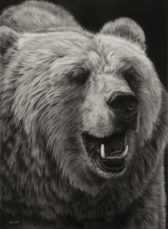 The Dinner Date | Trading-Card-Sized Grizzly Bear Charcoal Drawing Art Print by Crystal Orlando | Minicuration