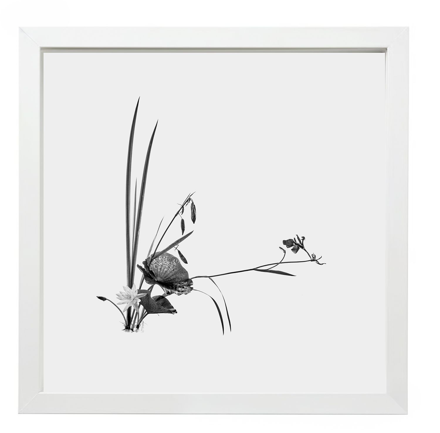 17 Syllables – Echoes of Stillness #38, 2025 / Framed, 25 × 25 cm