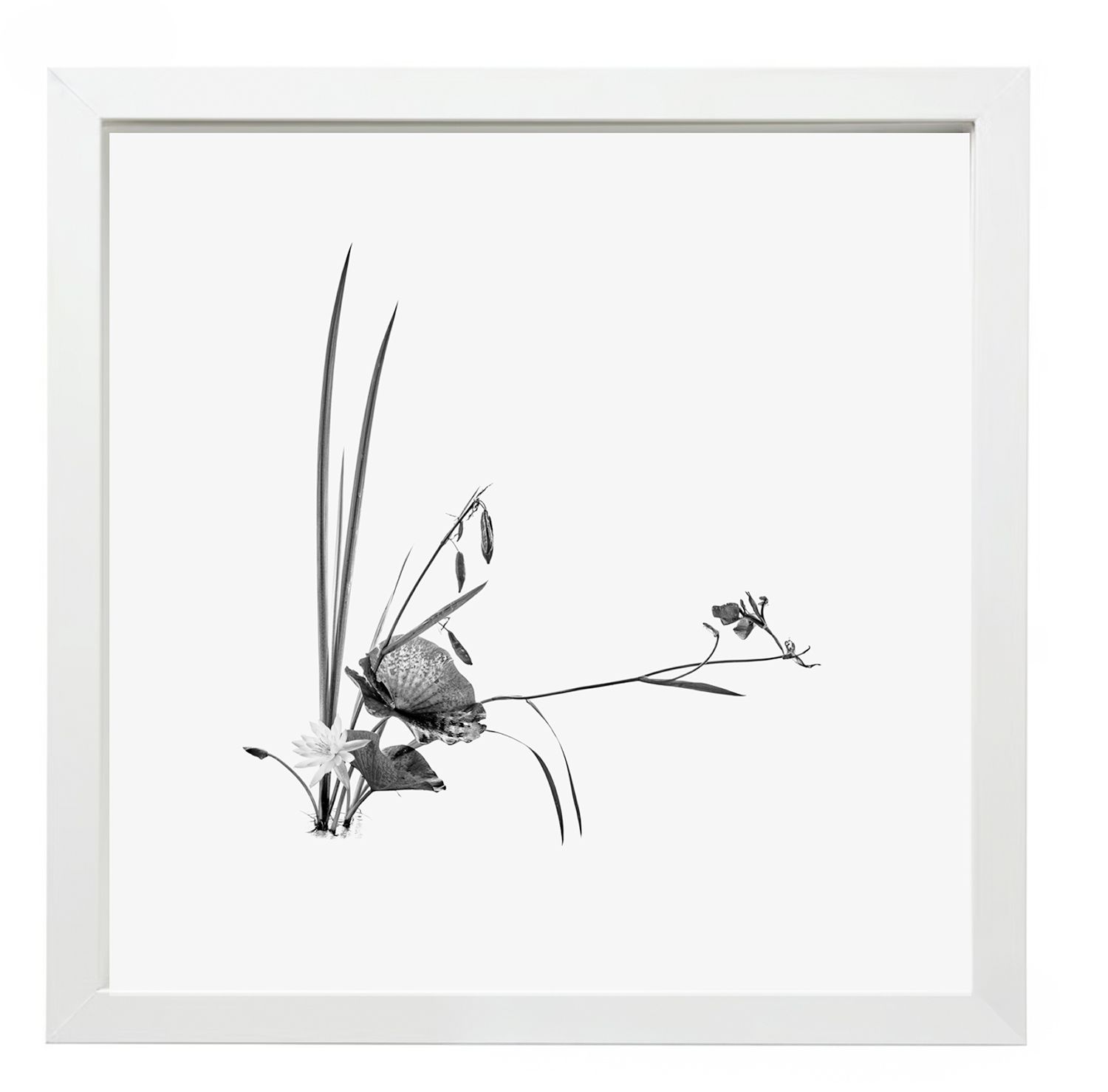 17 Syllables – Echoes of Stillness #38, 2025 / Framed, 25 × 25 cm
