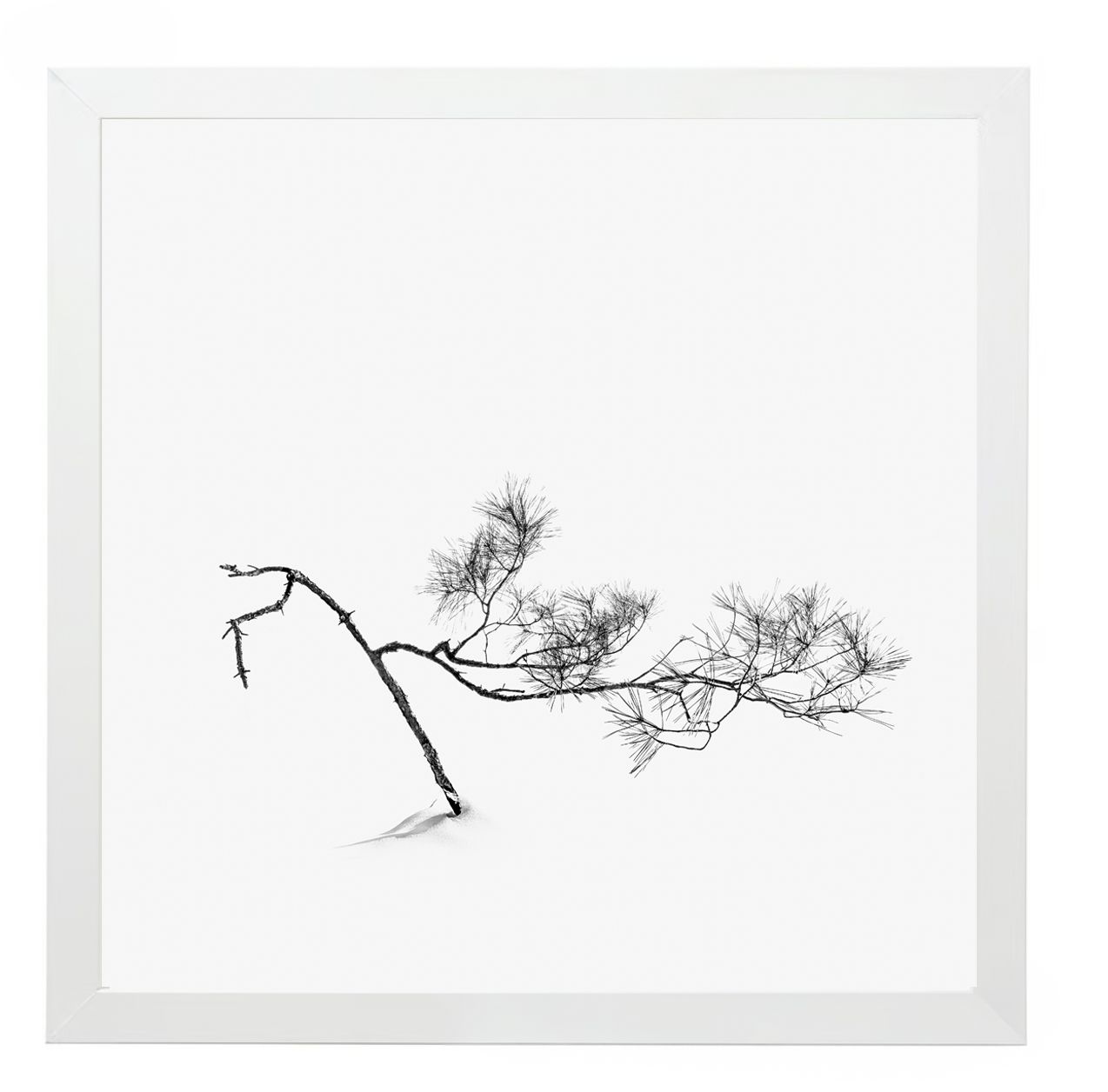 17 Syllables – Echoes of Stillness #23, 2025 / Framed, 25 × 25 cm