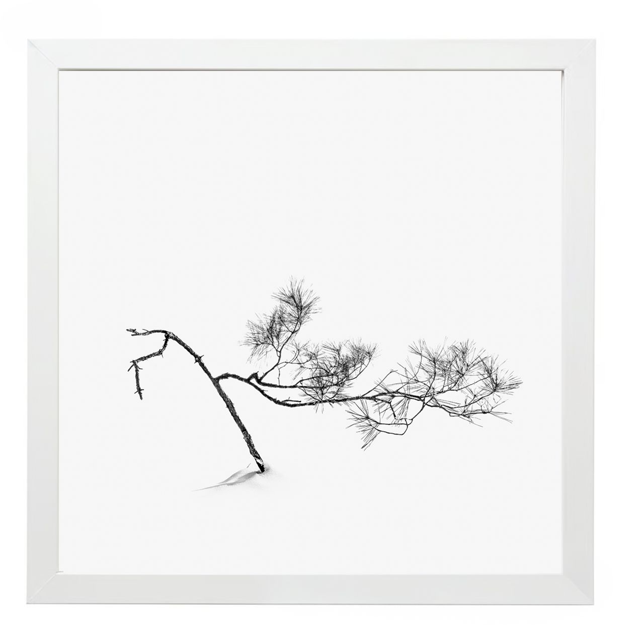 17 Syllables – Echoes of Stillness #23, 2025 / Framed, 25 × 25 cm