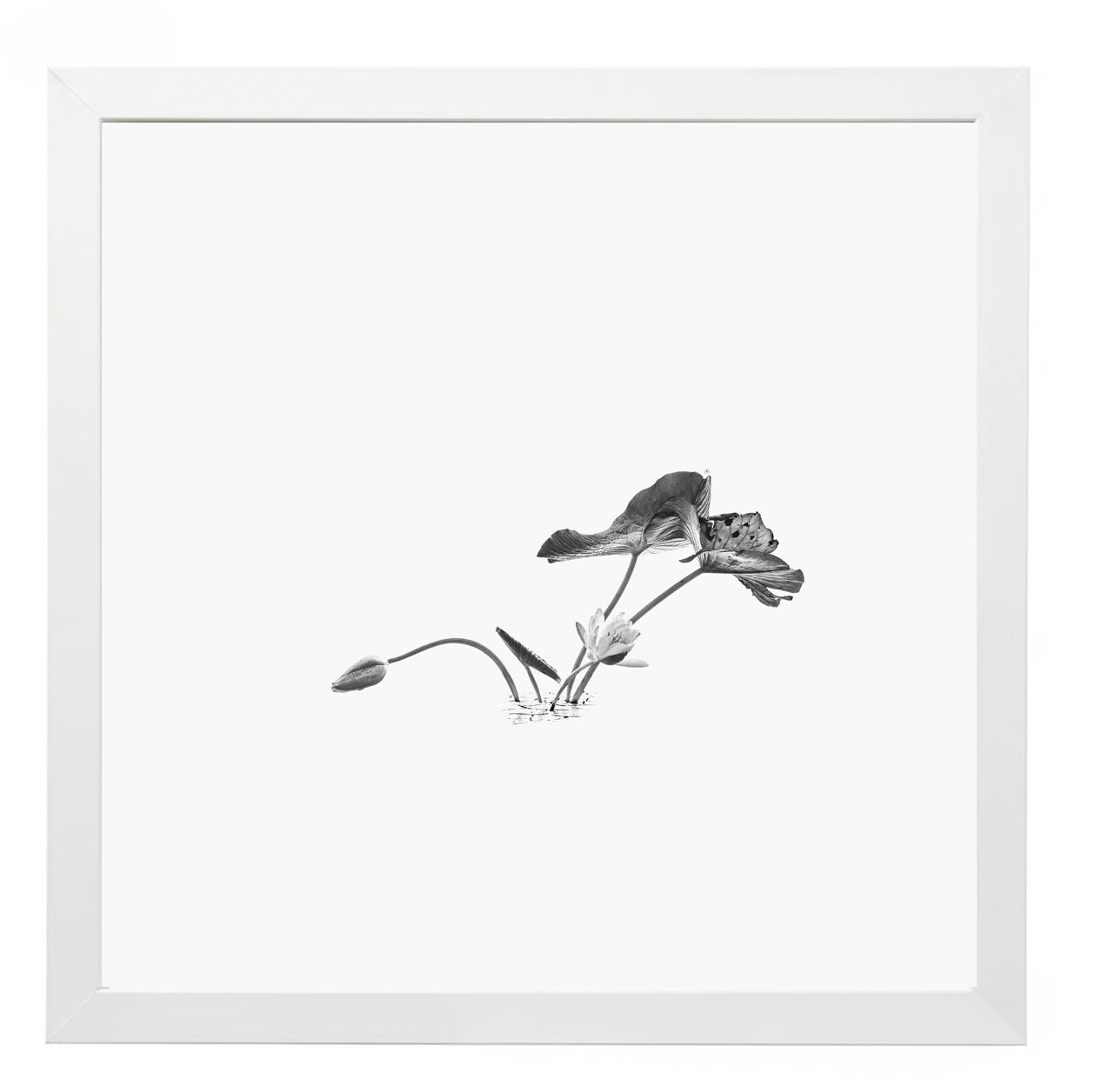 17 Syllables – Echoes of Stillness #55, 2025 / Framed, 25 × 25 cm 17 Syllables – Echoes of Stillness #55, 2025 / Framed, 25 × 25 cm