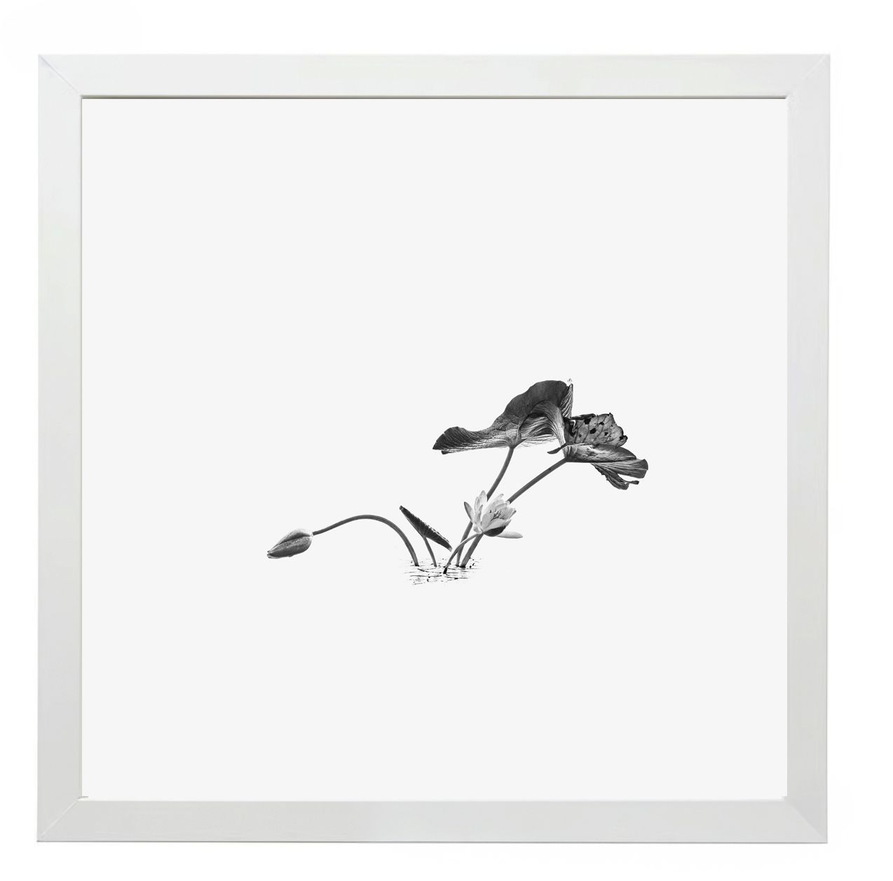 17 Syllables – Echoes of Stillness #55, 2025 / Framed, 25 × 25 cm