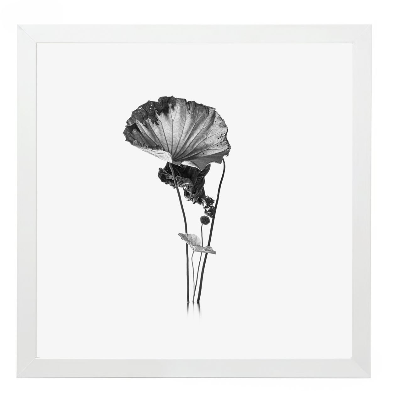 17 Syllables – Echoes of Stillness #68, 2025 / Framed, 25 × 25 cm