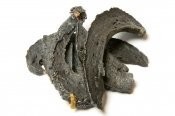 Dried Liver 500g Dried Liver 500g