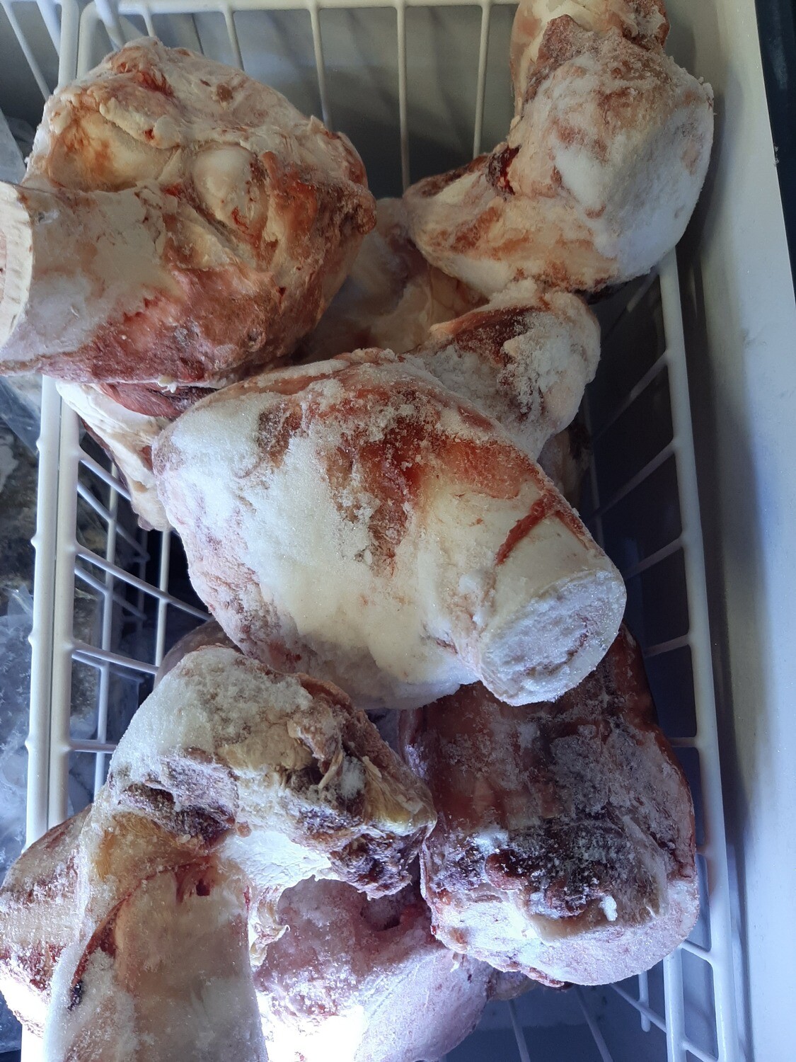 raw knuckle bones for dogs