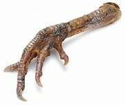 Dried Turkey Feet x 5 Dried Turkey Feet x 5