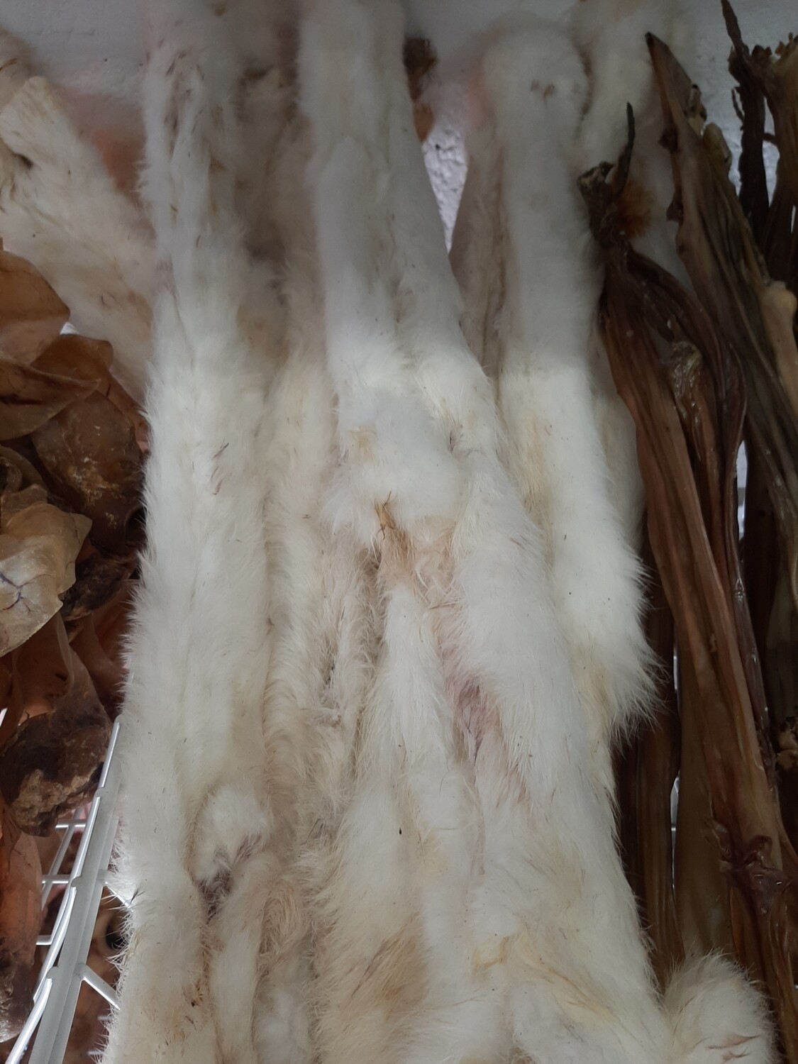 Dried Rabbit Skin with fur 60cm Dried Rabbit Skin with fur 60cm