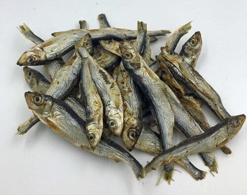 Dried Sprats For Dogs Big Sale Off 74