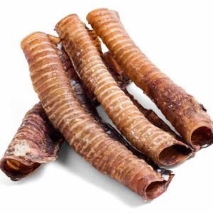 Whole Beef Trachea 10inch approx