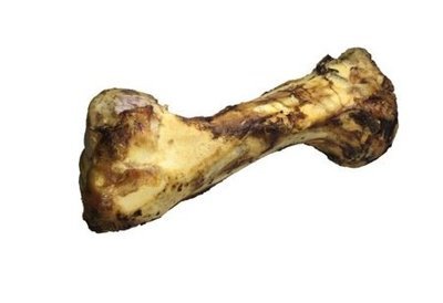 Jurassic Bone