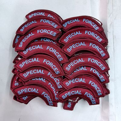 Airforce Special Forces Arm Badge