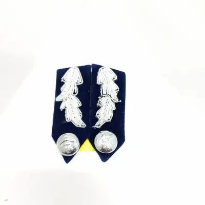 Airforce Uniform Group Captain Collar Badge