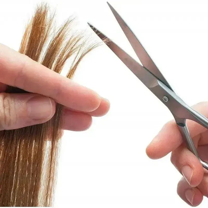 Stainless Steel Scissor