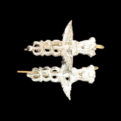 Airforce Blue Uniform Medical Collar Badge