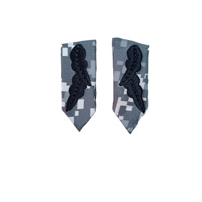Airforce Group Captain Combat Collar Badge