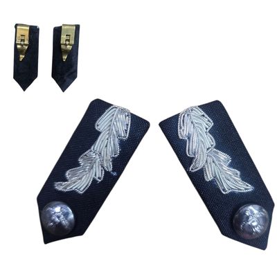 Airforce Uniform Group Captain Collar Dog