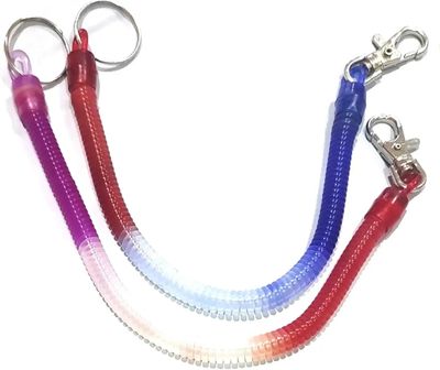 2pcs Spring keyrings