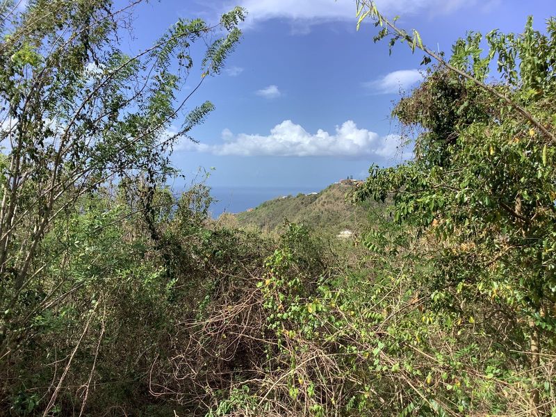 terrain 7463 m2 avec vue sur mer
